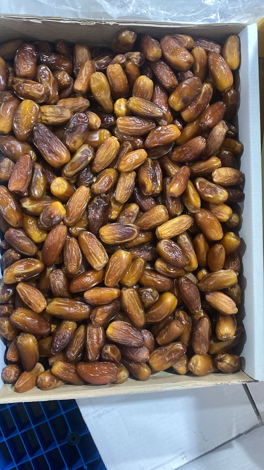 Kurma Hitam Arab